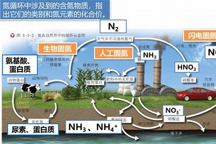 十亩肥水王肥料在哪个农资市场有货