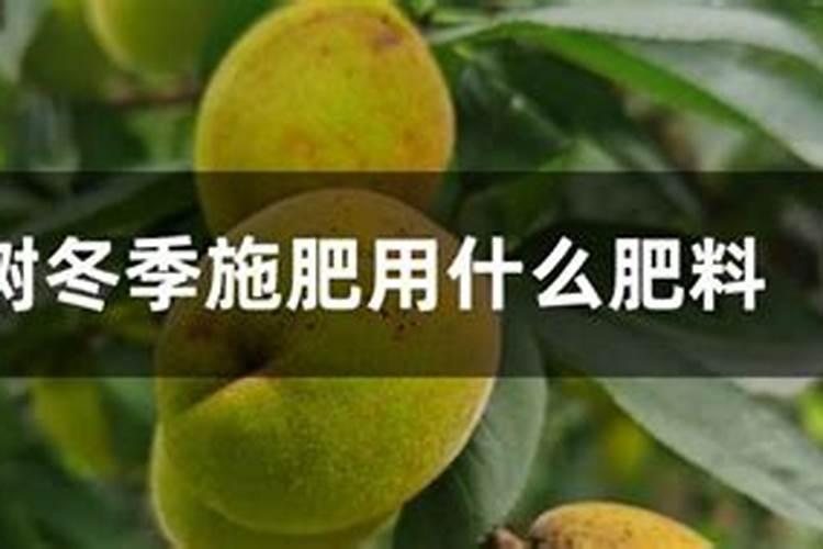 桃树用什么复合肥