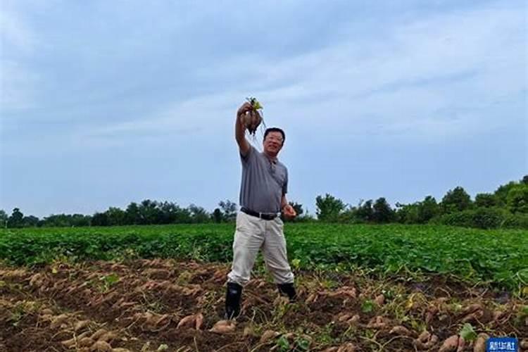 中国水溶肥行业发展前景预测与未来产销需求分析报告2022～2028年百度...