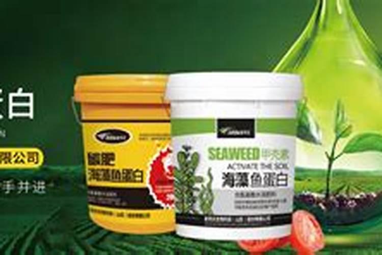 韭菜烂叶黄叶的原因是什么？腐植酸水溶肥壮株促生长效果如何