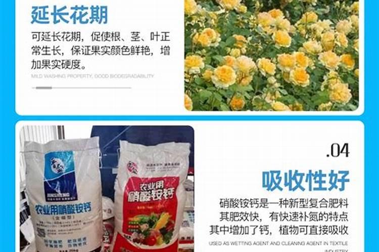硝酸铵出口全攻略