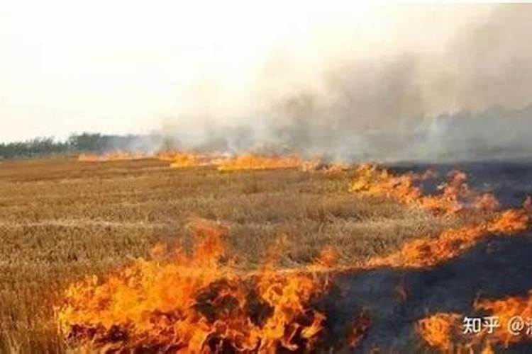 桂湖牌复合肥好还是宏福复合肥好