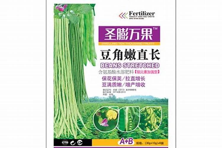 豆角怎么管理才能高产 豆角如何管理才能高产