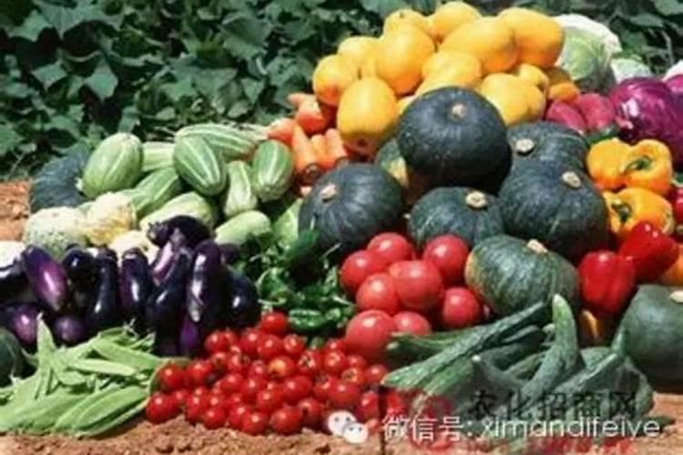 石塑粘土怎么做青苹果飞鸟