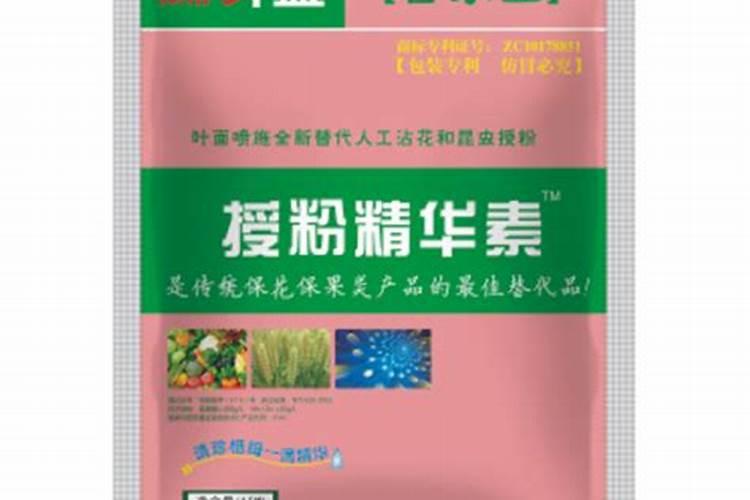 黄瓜苗花打顶怎么办