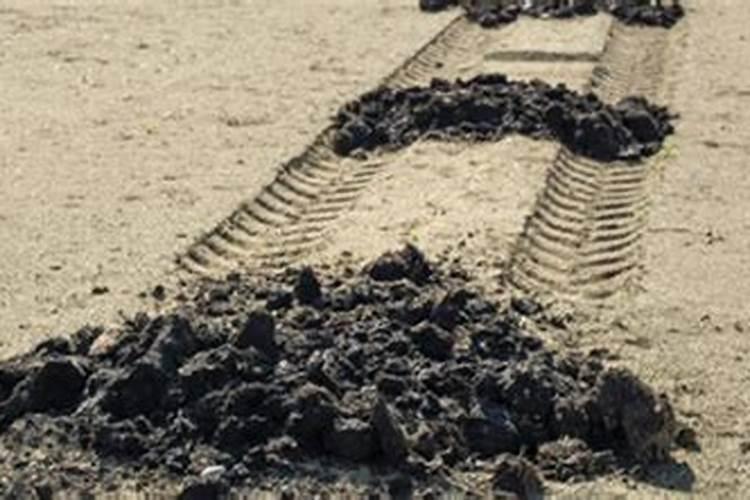 兰花喜欢酸性土壤吗