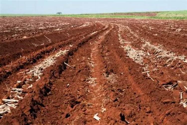 雷暴产生的肥料是什么,雷暴形成的必要条件