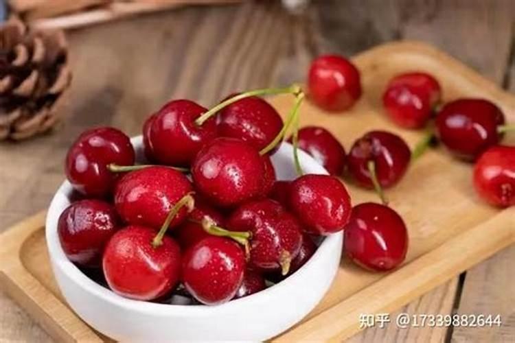 君子兰冬天可以施肥吗