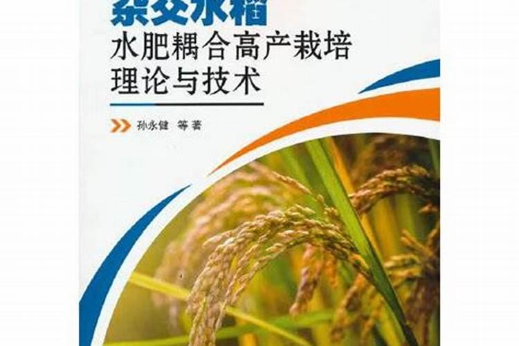 水稻怎么育秧