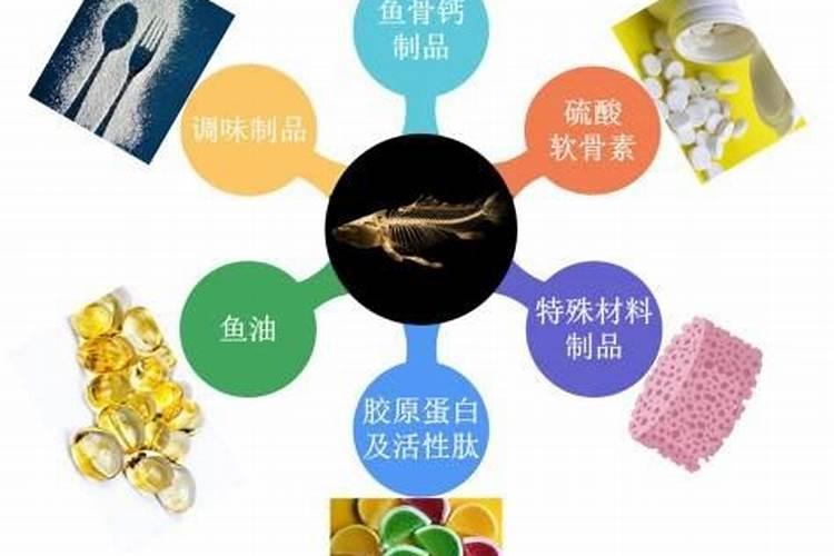 鱼骨的主要成分是什么