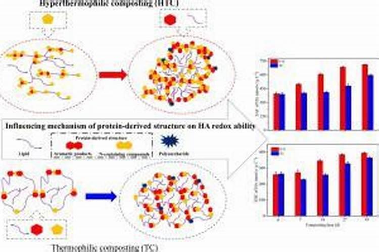 动物园里有大西几 小脑斧 梅发怒