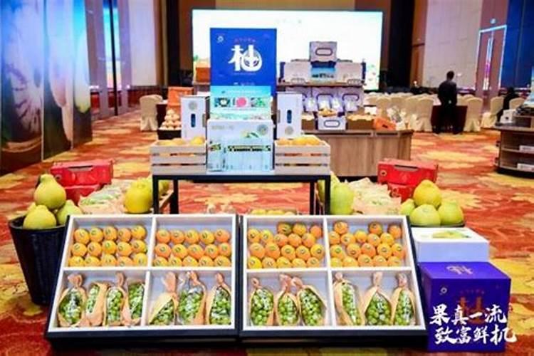 盆栽火龙果老烂根是什么原因