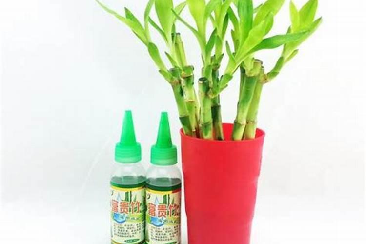 富贵竹浇什么肥料合适