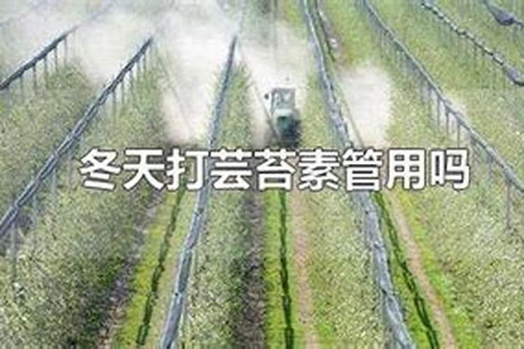 核桃壳养花需要腐熟吗 核桃壳怎么做花肥