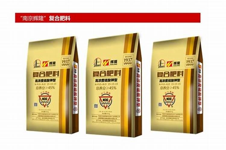 香橼怎么养 盆栽香橼的养殖方法和注意事项