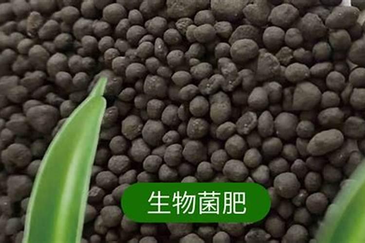 有机肥与生物菌肥到底有什么区别