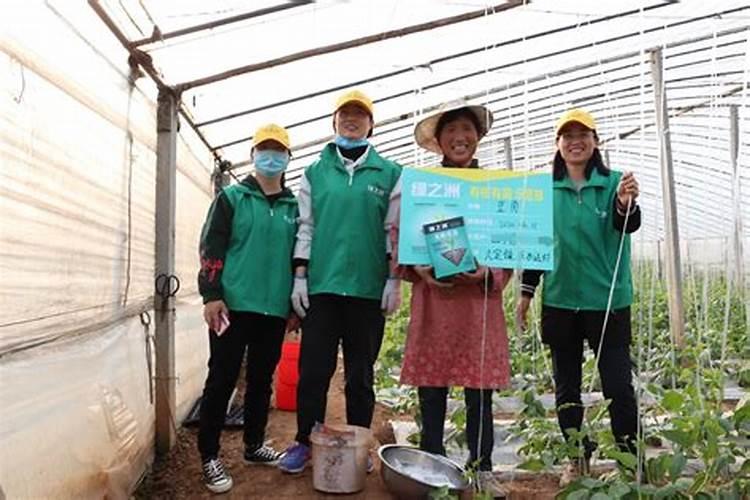 芋头8月最佳追肥时间