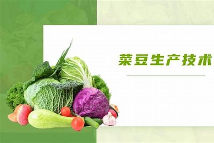 京山县农产品批发市场叫什么名字