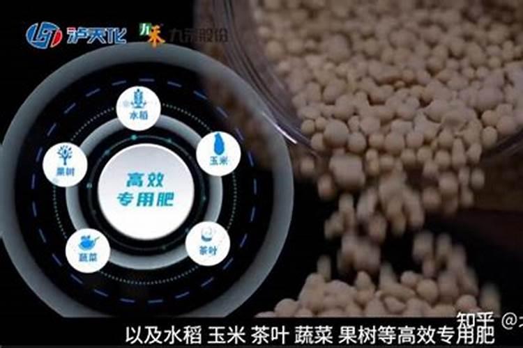 大棚黄瓜坐果期应该怎么施肥？