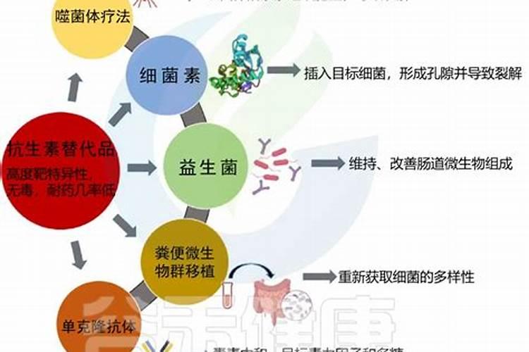 桂圆树该施什么肥料？