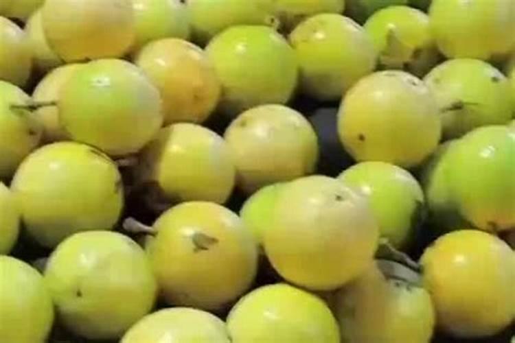 核桃树黑斑病的专用药