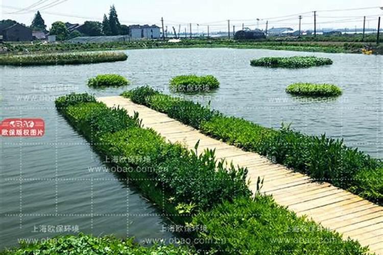 养鱼磷酸二氢钾一分地用多少