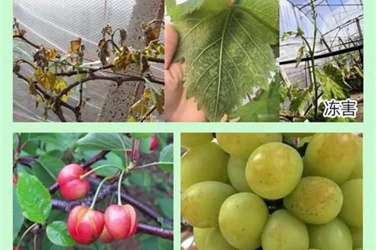 佳木斯龙美高中怎么样