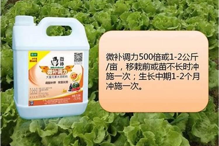 颗粒土多久浇一次水