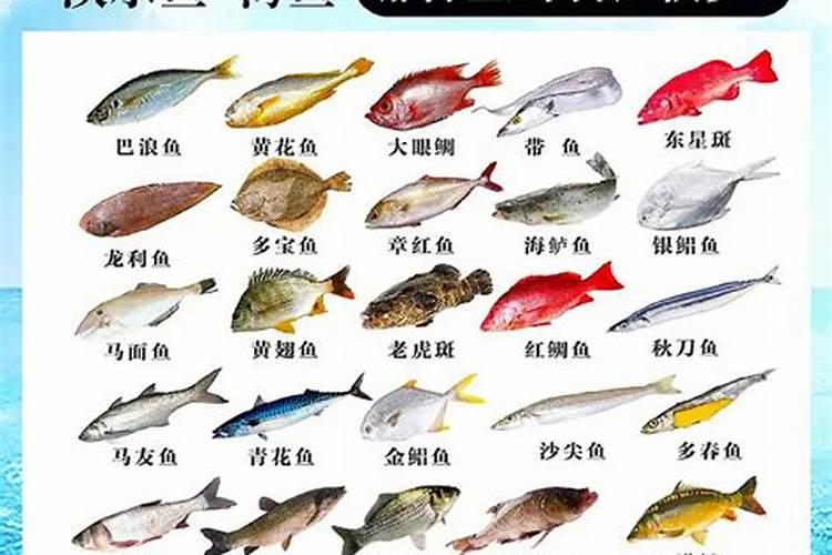 鱼蛋白肥如何辨别好坏？