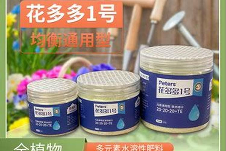 龟背竹叶片发黄原因和处理方法