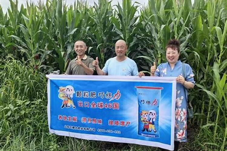 雨季葡萄病害的发生及防治措施