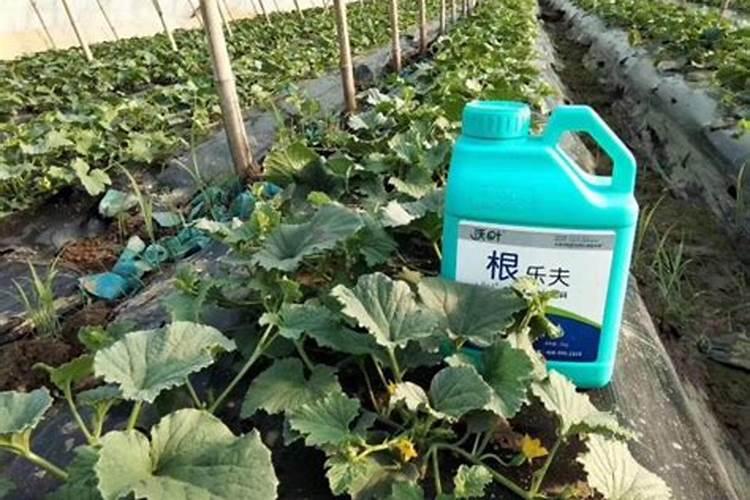 水溶肥料需要生产许可证吗