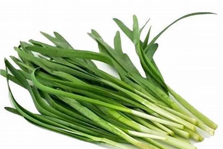 种韭菜用什么肥料最好