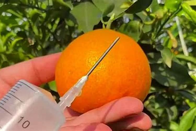 脐橙内裂果多用什么肥料？