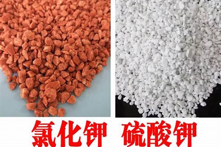 氧化钾是钾肥吗？和氯化钾和硫酸钾有什么区别？
