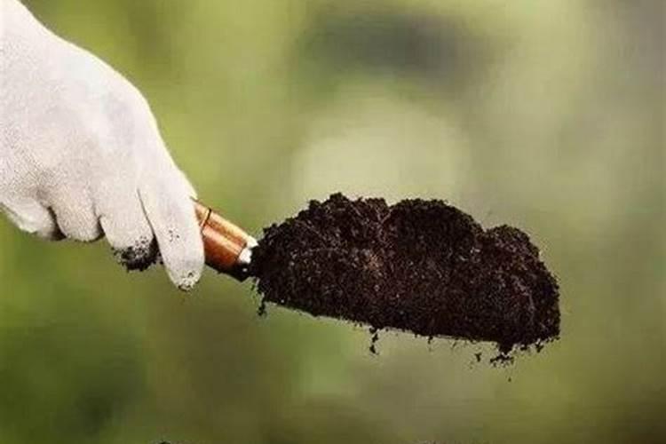 谷子追肥用的肥料配比 高产施肥技巧