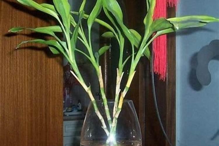 现在小麦地里的野麦还能打药吗？