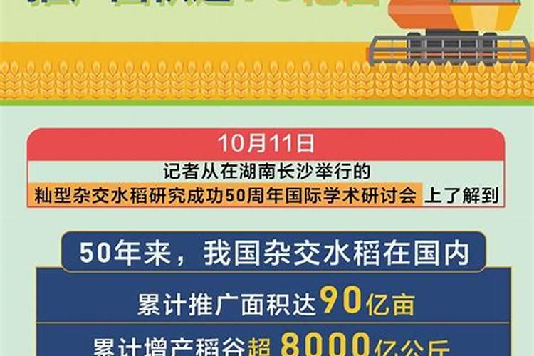 杂交水稻施肥法