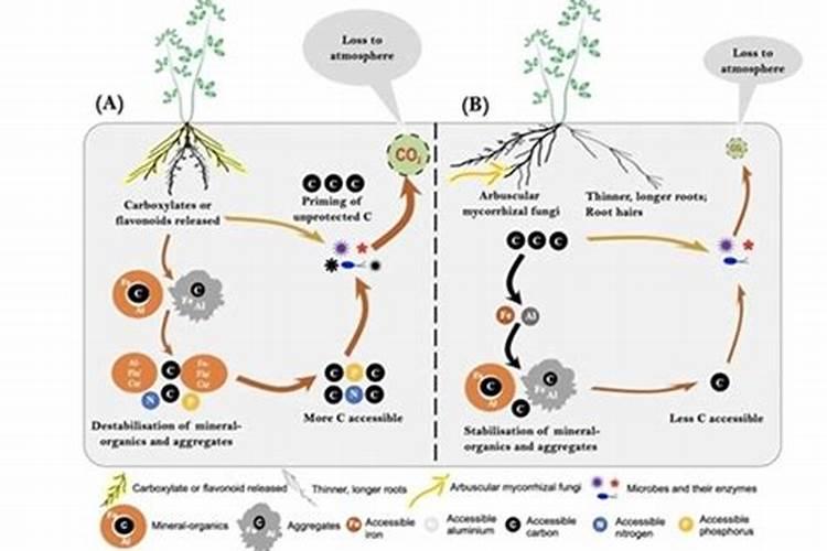 元素周期表中所有元素的读音是什么？