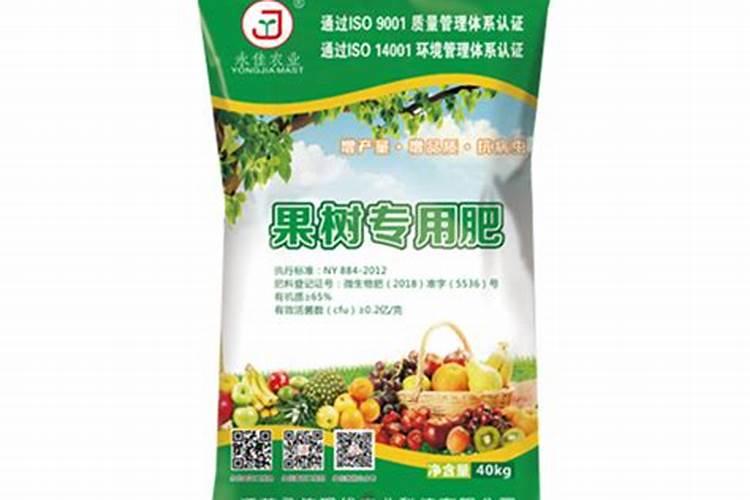 冬天月季施什么肥最好