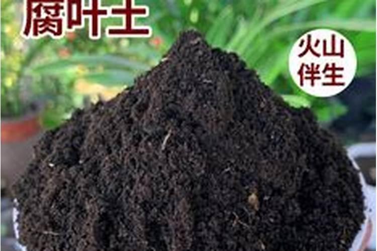 草炭土的成分和特点