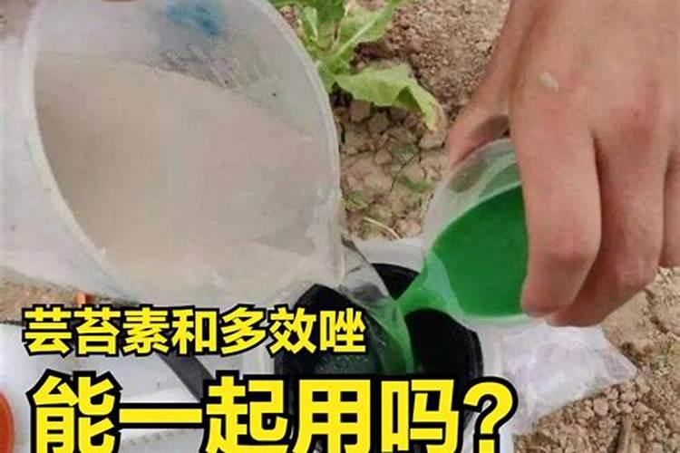 芸苔素使用有什么禁忌