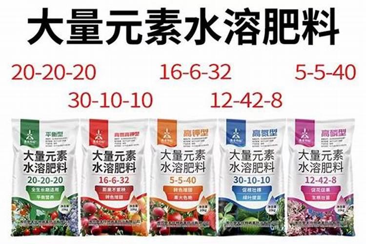 大量元素水溶肥的正确使用方法