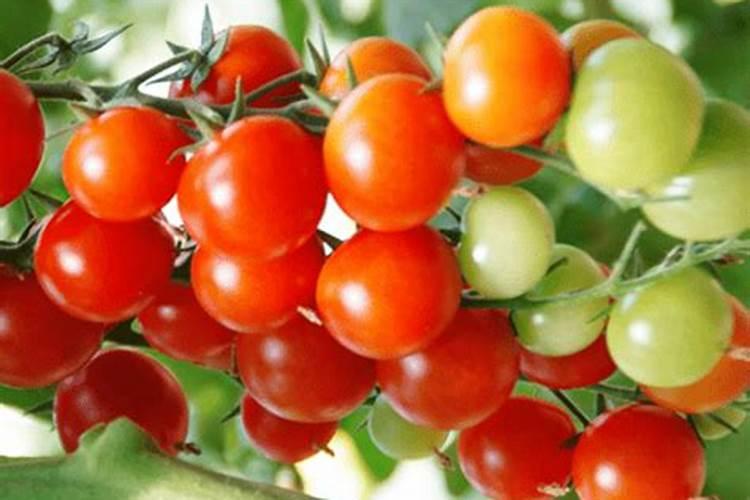 复合肥中氯离子测算