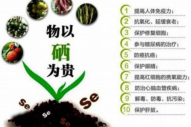果树施硼肥怎么操作？果树施硼肥有什么用？