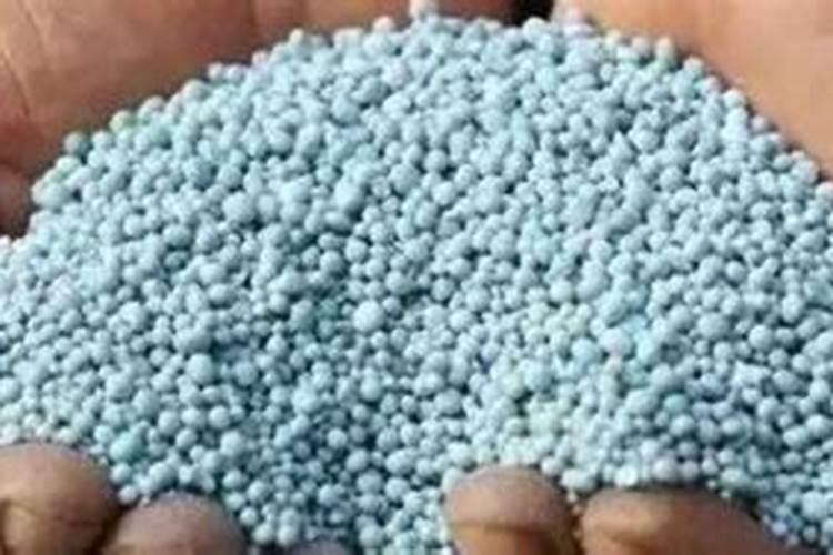 复合肥化成水可以浇菜吗