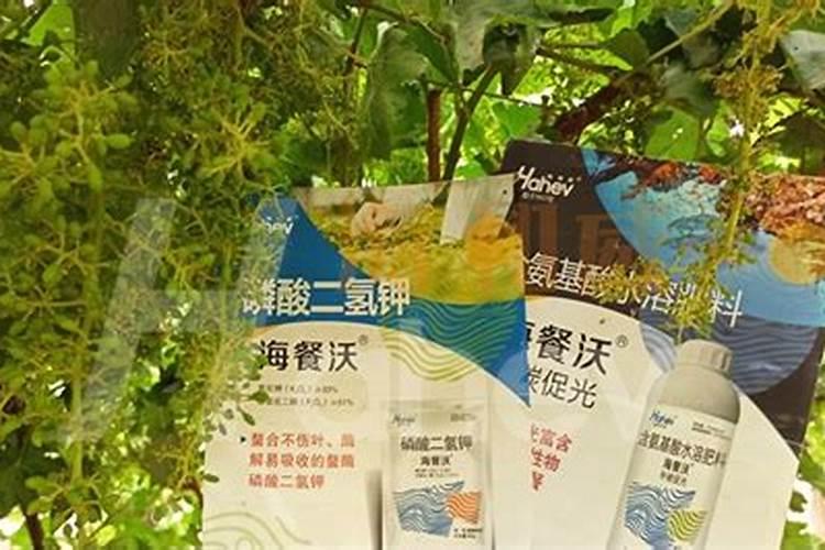 水溶肥高钾型和平衡型的区别