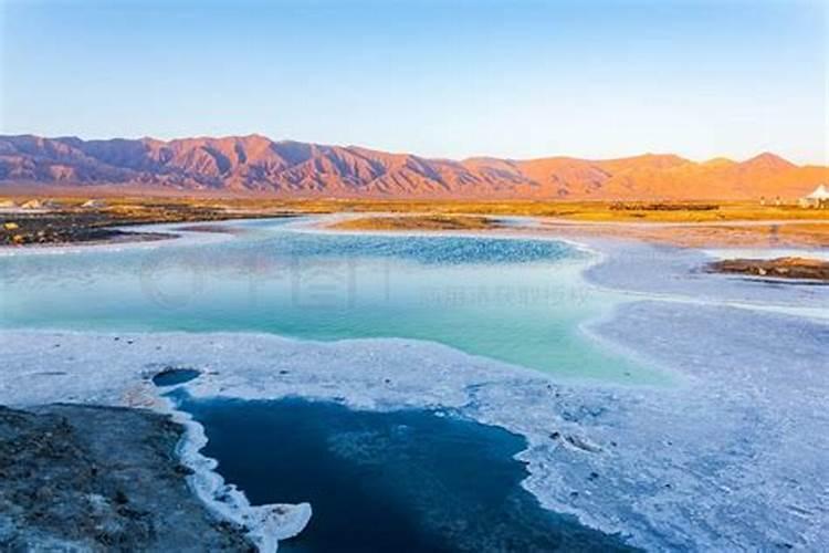 豌豆尖第一次掐留几个节 豌豆尖第一次什么时候掐