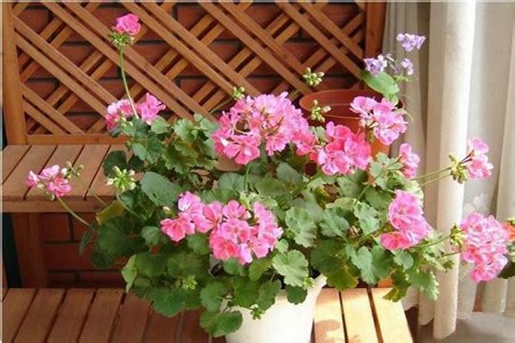 磷酸二氢钾和尿素能混用吗