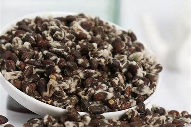 控释肥一次给多少